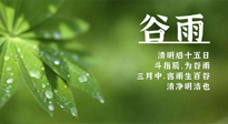 【二十四節氣灸】谷雨時節，用艾為您的健康加上一道保險！